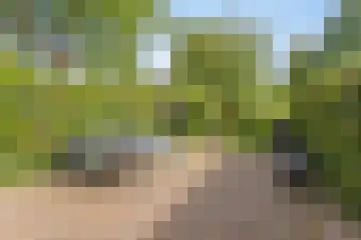 Boterweg 43 's-Hertogenbosch thumbnail 15