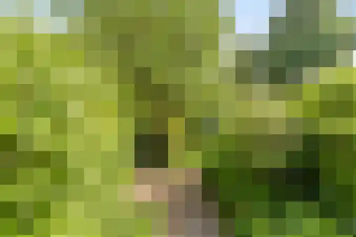 Boterweg 43 's-Hertogenbosch thumbnail 16