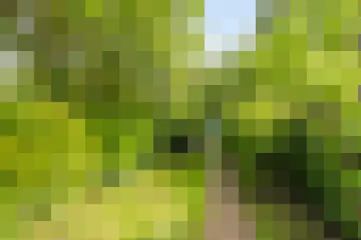Boterweg 43 's-Hertogenbosch thumbnail 17