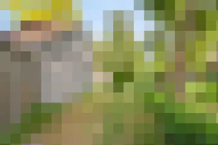 Boterweg 43 's-Hertogenbosch thumbnail 25