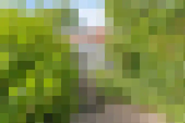 Boterweg 43 's-Hertogenbosch thumbnail 27