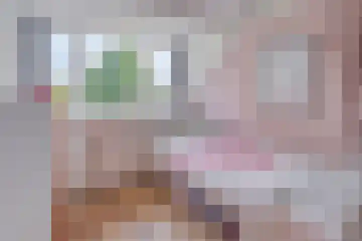 Boterweg 43 's-Hertogenbosch thumbnail 37