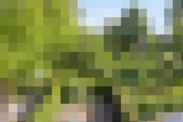 Boterweg 43 's-Hertogenbosch thumbnail 39