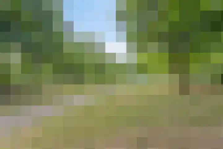 Boterweg 43 's-Hertogenbosch thumbnail 43