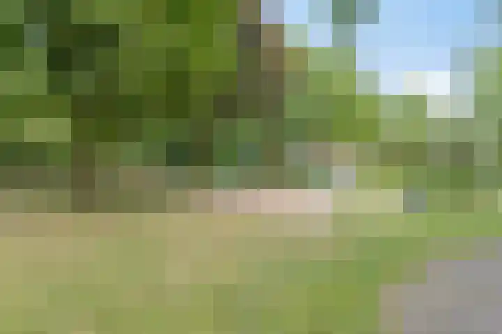 Boterweg 43 's-Hertogenbosch thumbnail 44