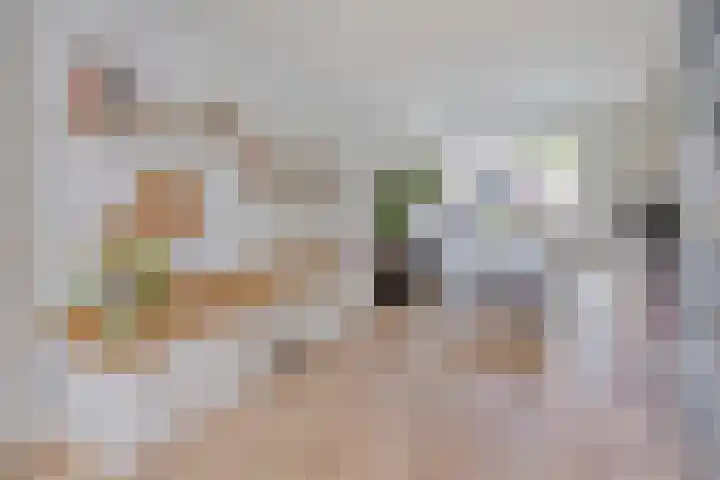Boterweg 43 's-Hertogenbosch thumbnail 6