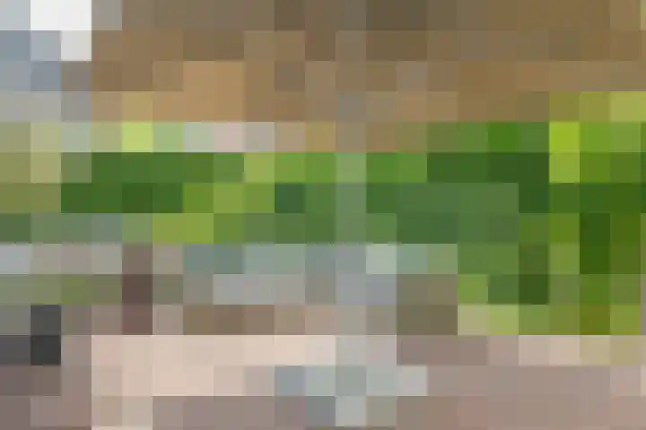 Boterweg 8 Ottersum thumbnail 5