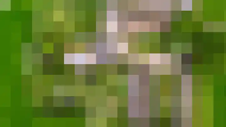 Boterwijksestraat 6 Oirschot thumbnail 5