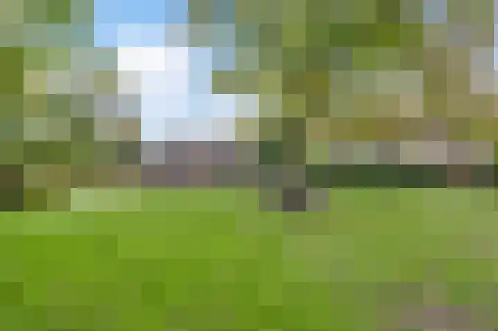 Boterwijksestraat 6 Oirschot thumbnail 50