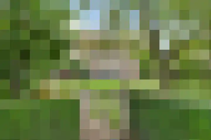 Boterwijksestraat 6 Oirschot thumbnail 56