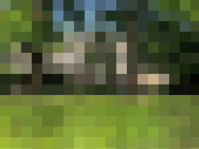 Boterwijksestraat 6 Oirschot thumbnail 57
