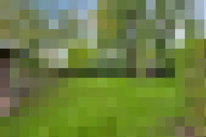 Boterwijksestraat 6 Oirschot thumbnail 58