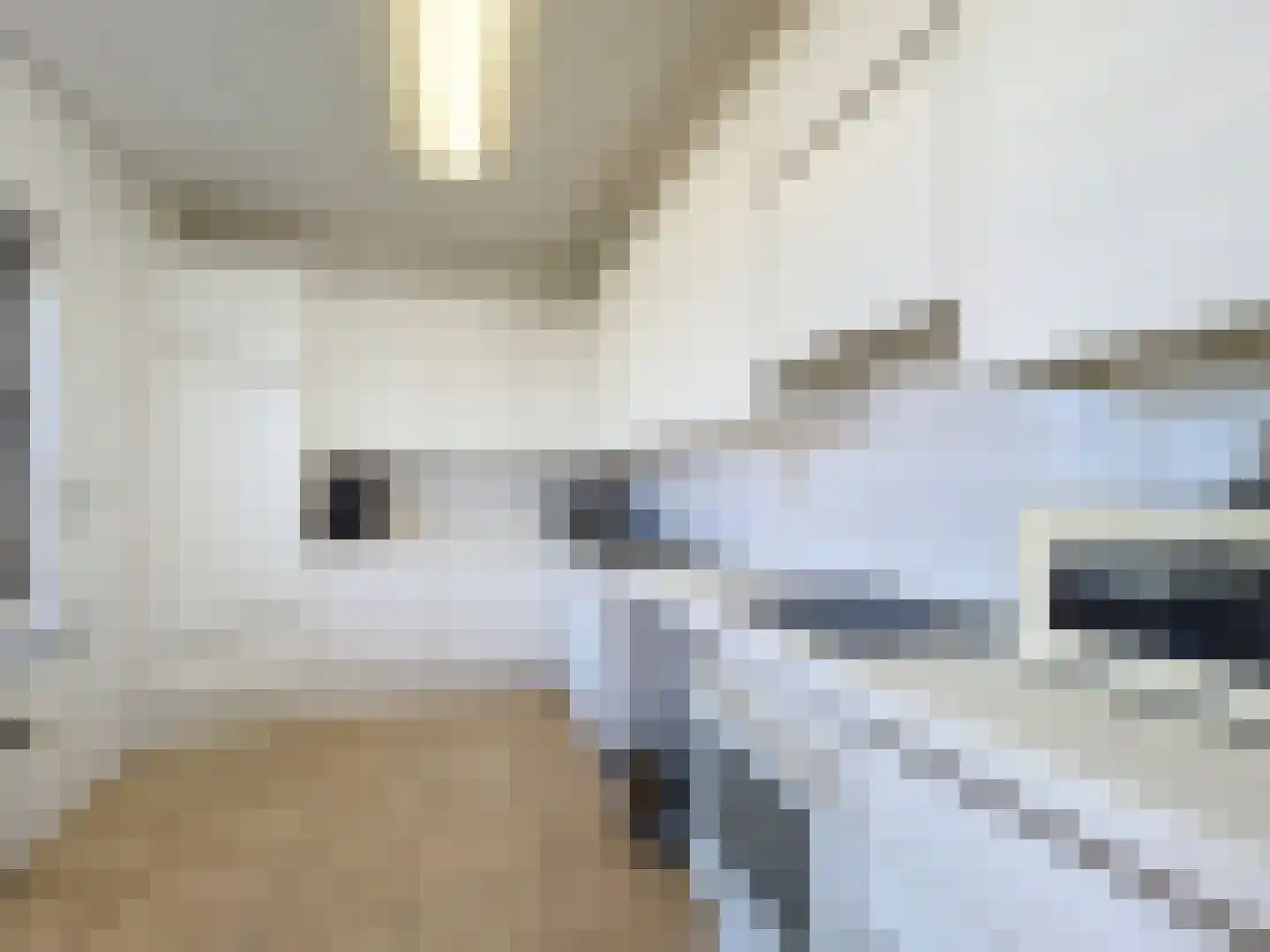 Boterzandestraat 1 Biervliet thumbnail 4