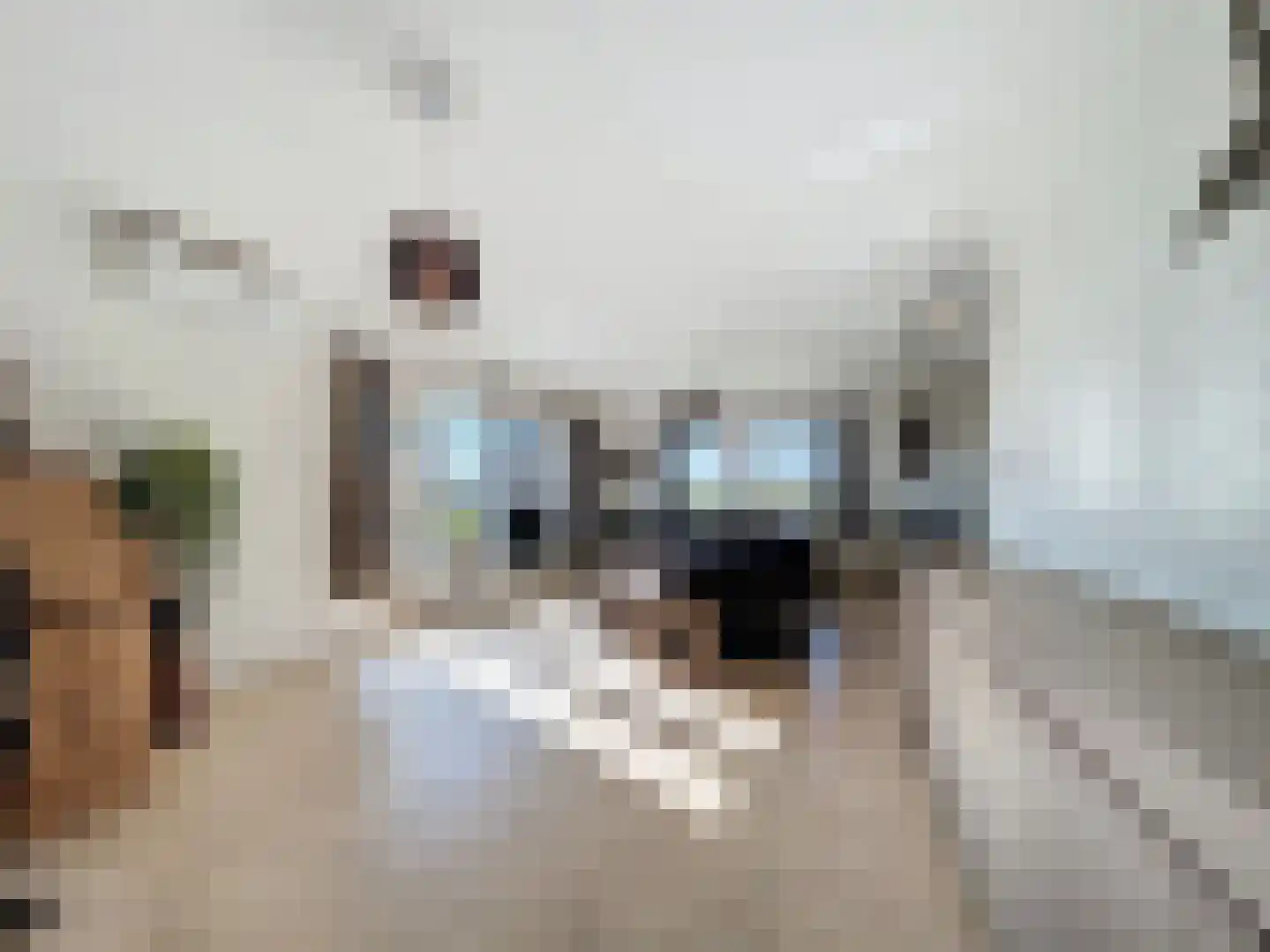 Boterzandestraat 1 Biervliet thumbnail 5