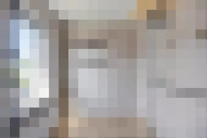 Boterzandestraat 18 Biervliet thumbnail 14