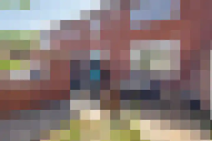 Boterzandestraat 18 Biervliet thumbnail 16