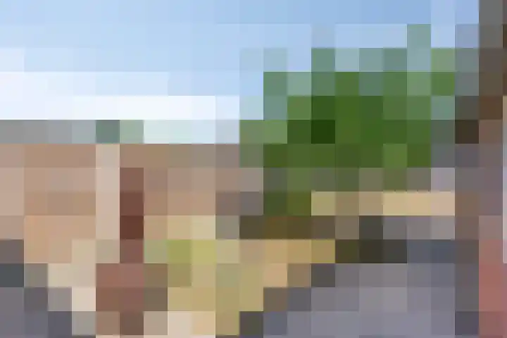 Boterzandestraat 18 Biervliet thumbnail 17