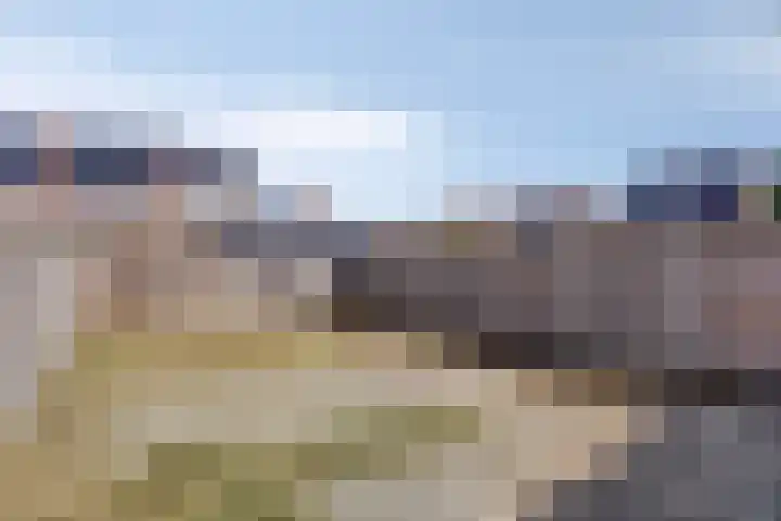 Boterzandestraat 18 Biervliet thumbnail 18