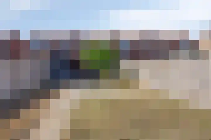 Boterzandestraat 18 Biervliet thumbnail 19