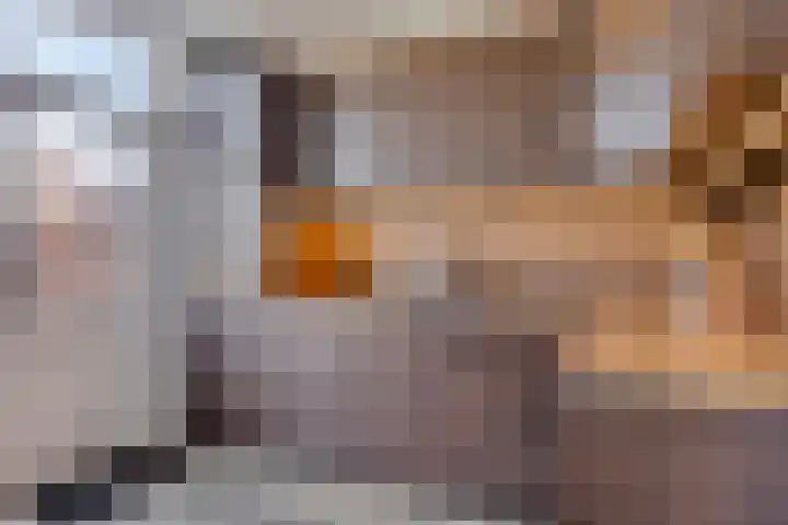 Boterzandestraat 18 Biervliet thumbnail 6