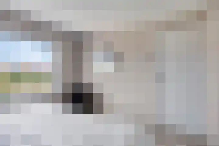 Boterzandestraat 18 Biervliet thumbnail 9