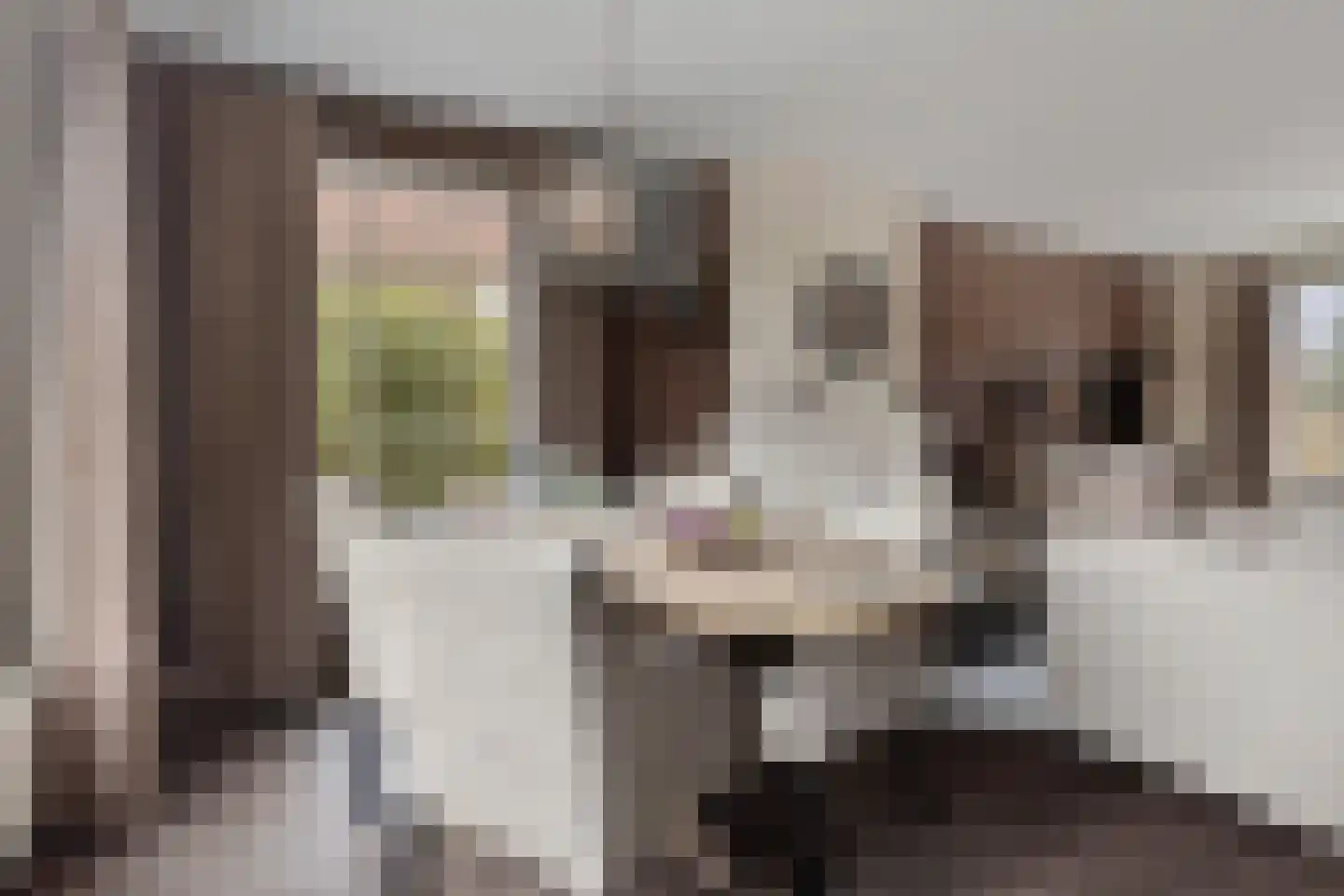 Boterzandestraat 24 a Biervliet thumbnail 12