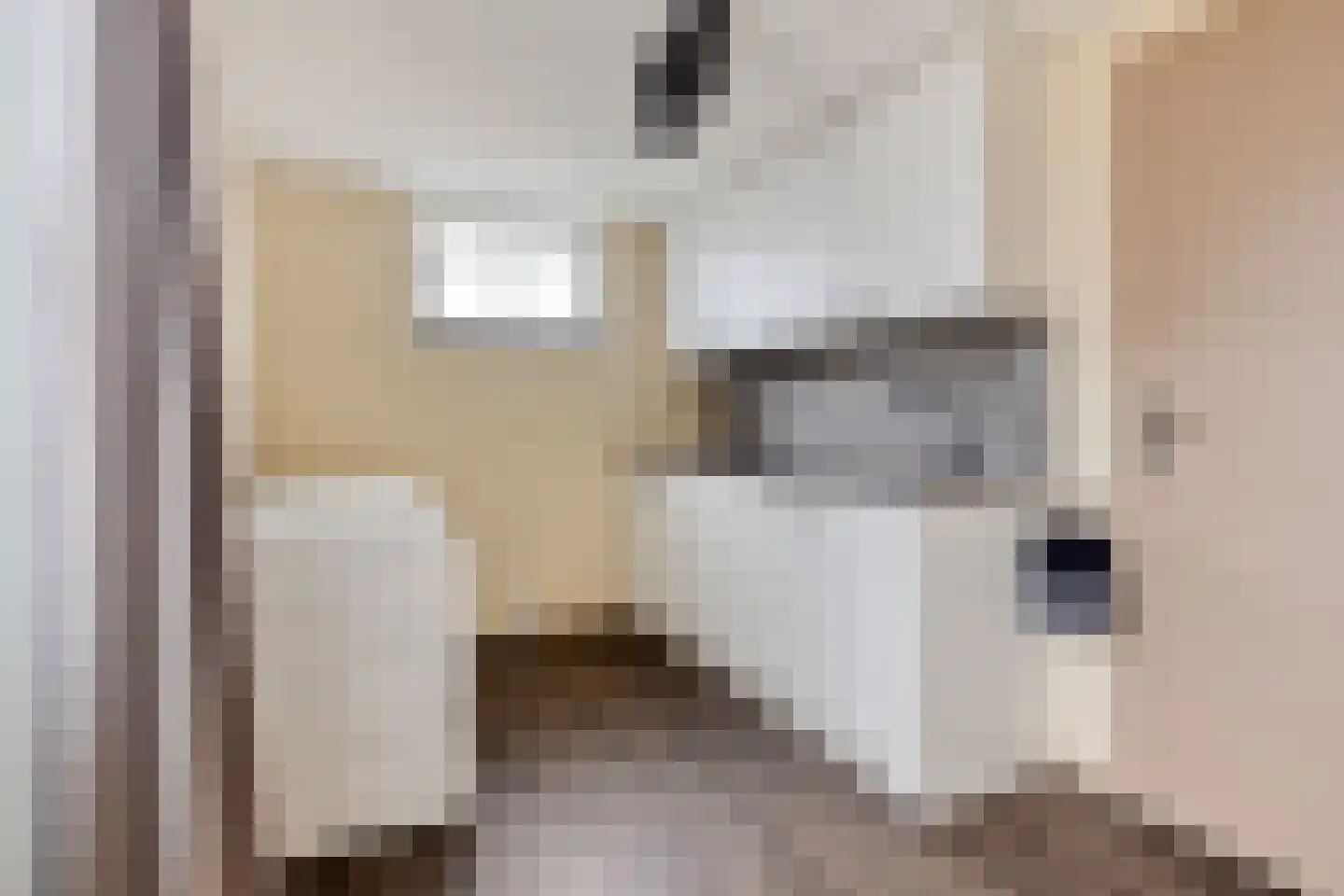 Boterzandestraat 24 a Biervliet thumbnail 19