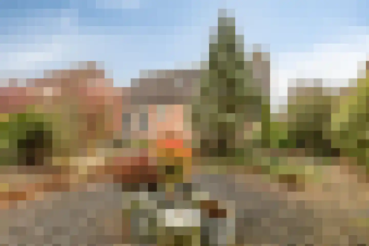 Boterzandestraat 24 a Biervliet thumbnail 32