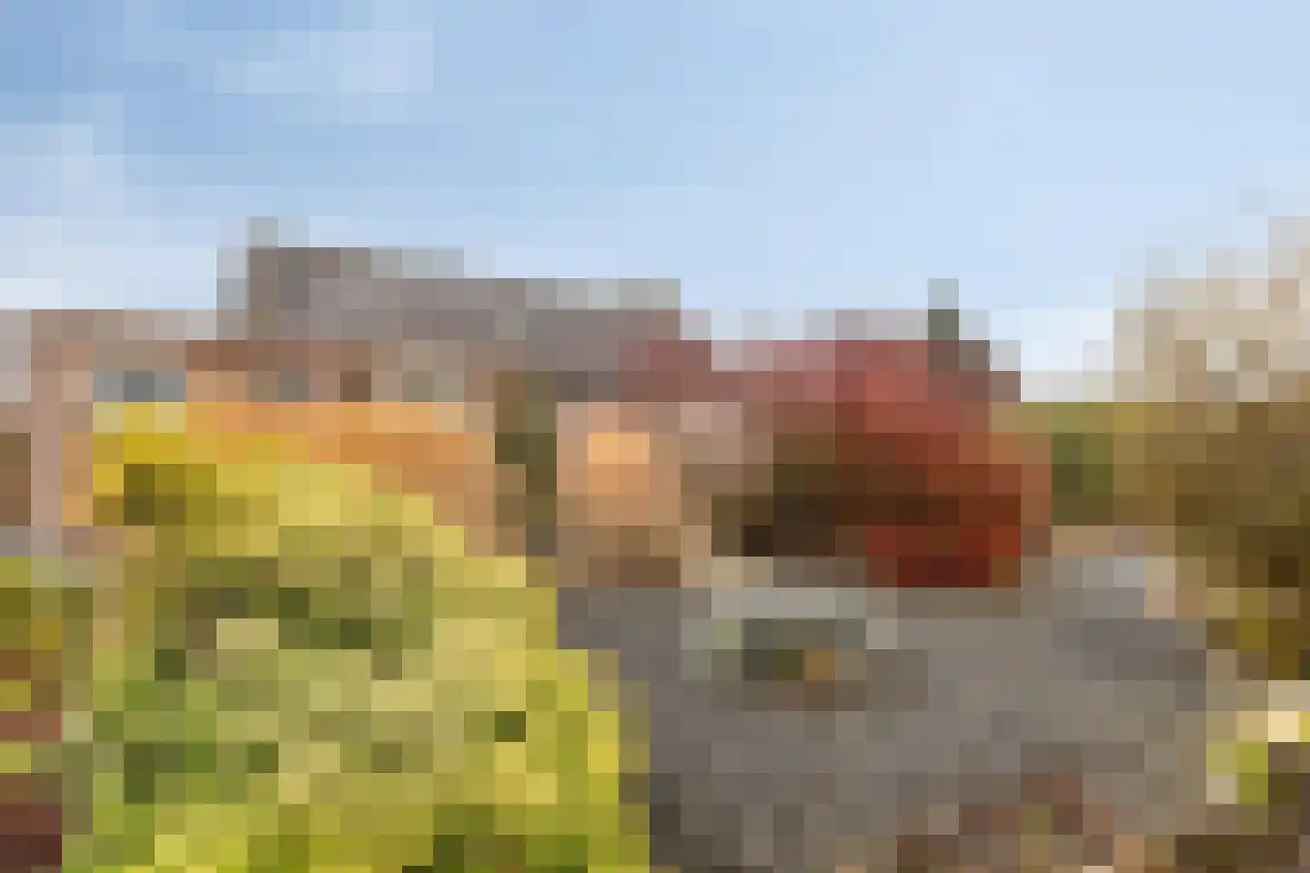 Boterzandestraat 24 a Biervliet thumbnail 33