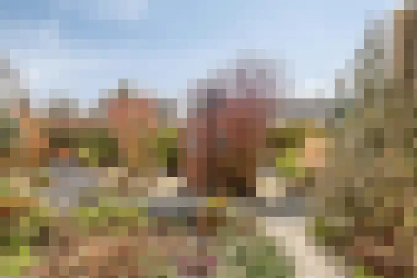 Boterzandestraat 24 a Biervliet thumbnail 36