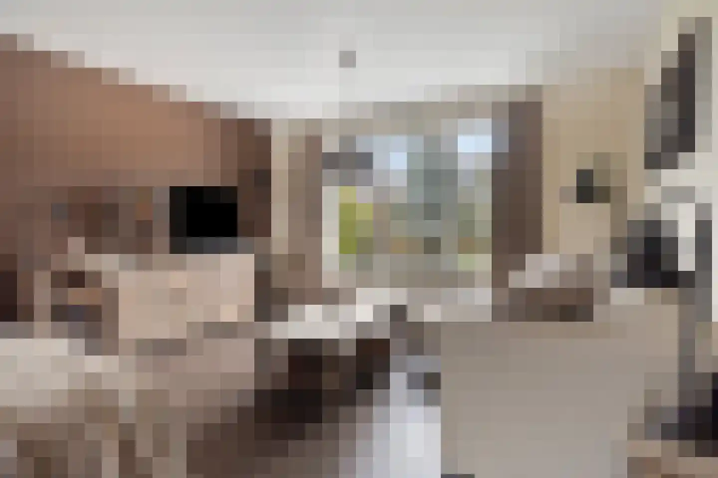 Boterzandestraat 24 a Biervliet thumbnail 7