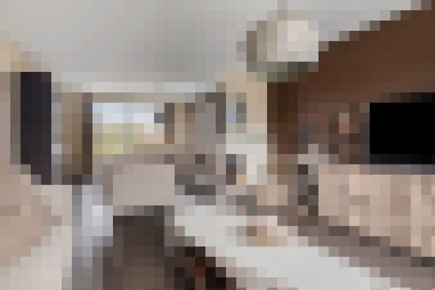 Boterzandestraat 24 a Biervliet thumbnail 9