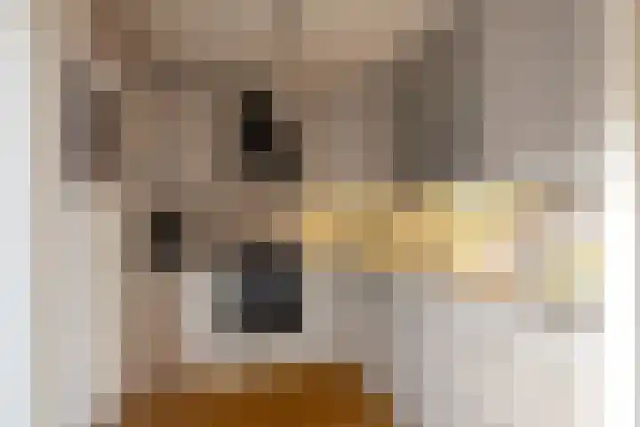 Boterzwin 1107 Julianadorp thumbnail 10