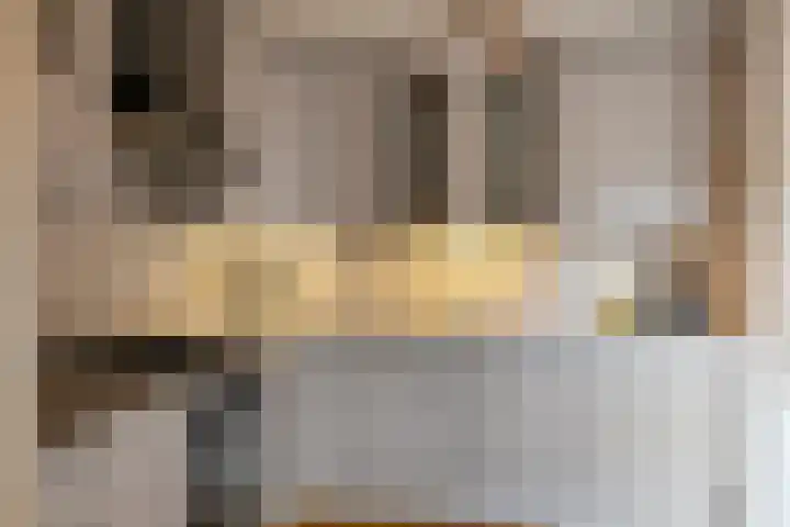Boterzwin 1107 Julianadorp thumbnail 11