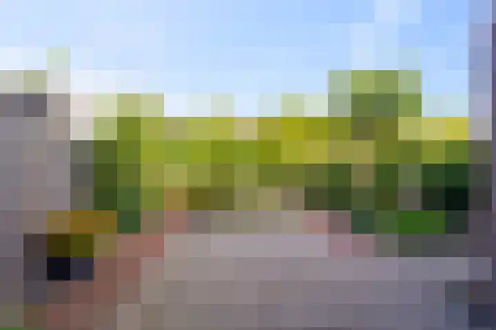 Boterzwin 1107 Julianadorp thumbnail 13