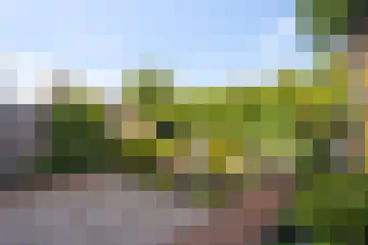 Boterzwin 1107 Julianadorp thumbnail 14