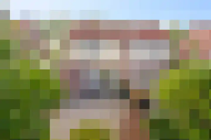 Boterzwin 1107 Julianadorp thumbnail 15