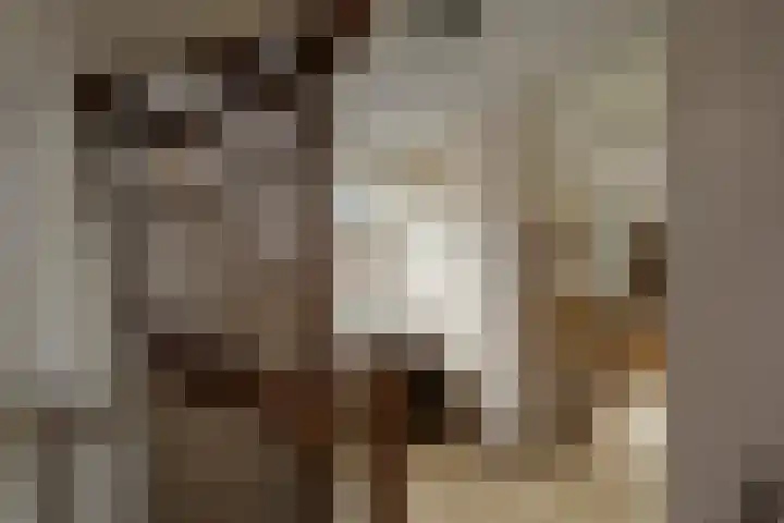 Boterzwin 1107 Julianadorp thumbnail 16