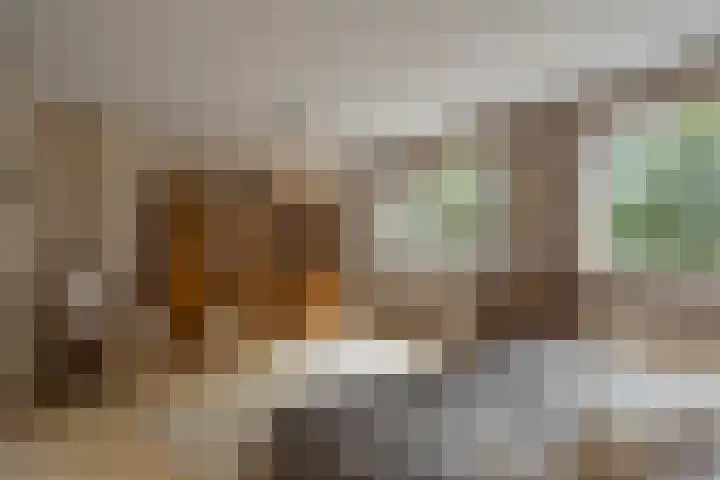 Boterzwin 1107 Julianadorp thumbnail 17