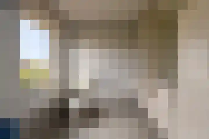Boterzwin 1107 Julianadorp thumbnail 21