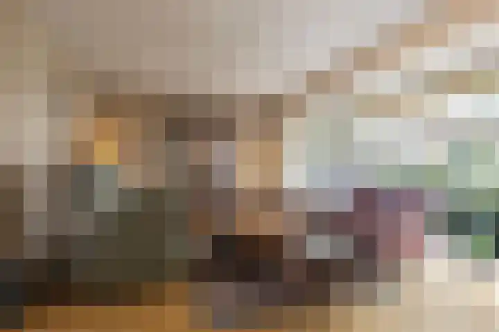 Boterzwin 1107 Julianadorp thumbnail 6