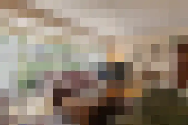 Boterzwin 1107 Julianadorp thumbnail 7