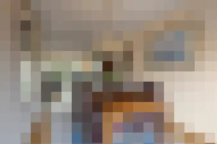 Boterzwin 1107 Julianadorp thumbnail 9