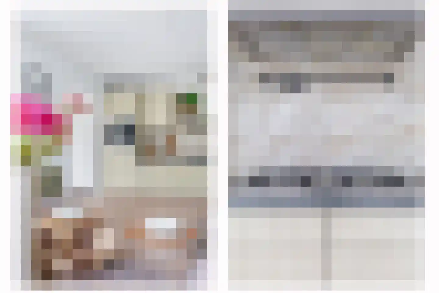Boterzwin 1131 Julianadorp thumbnail 10