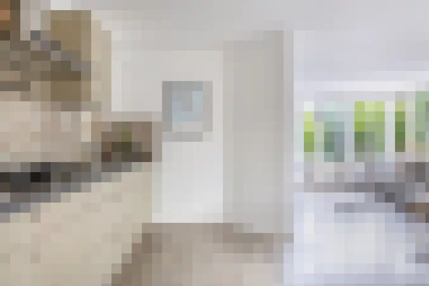 Boterzwin 1131 Julianadorp thumbnail 11