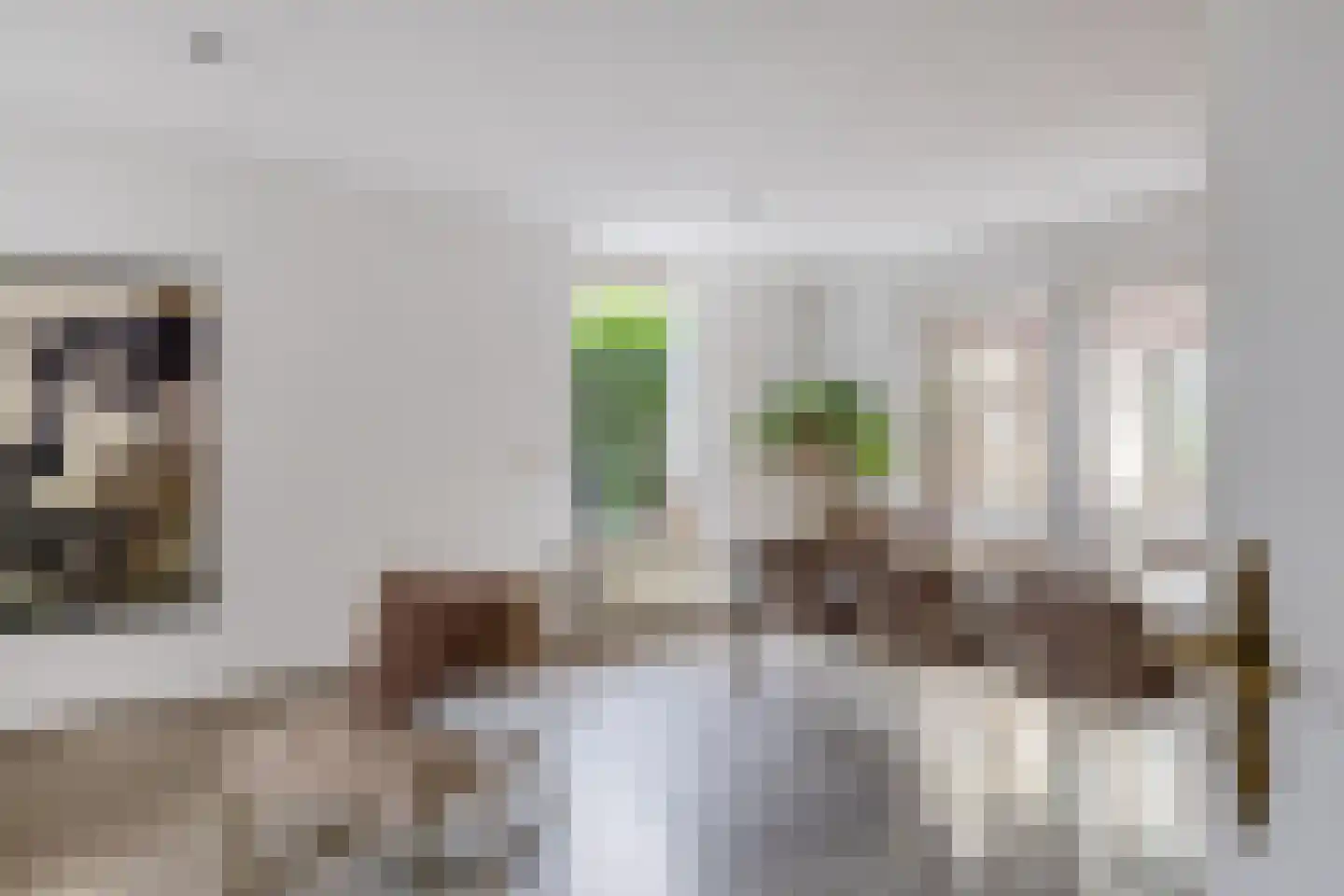 Boterzwin 1131 Julianadorp thumbnail 12