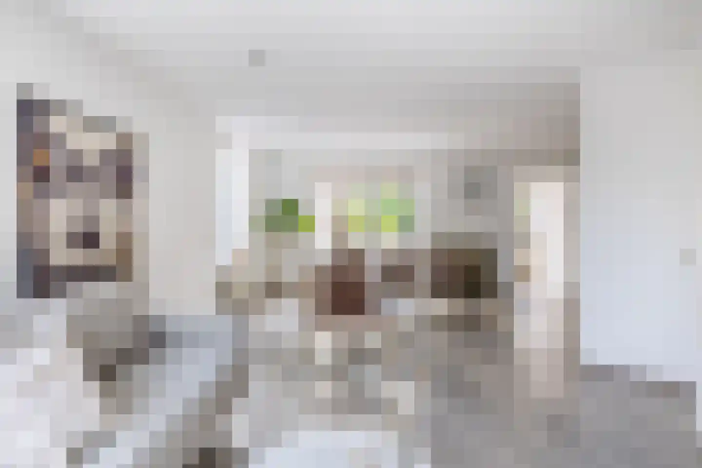 Boterzwin 1131 Julianadorp thumbnail 14