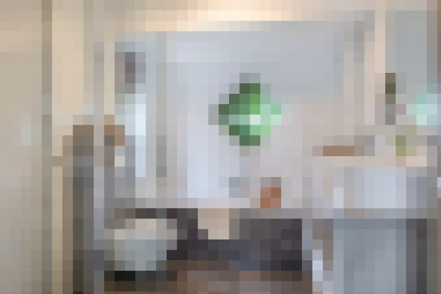 Boterzwin 1131 Julianadorp thumbnail 19