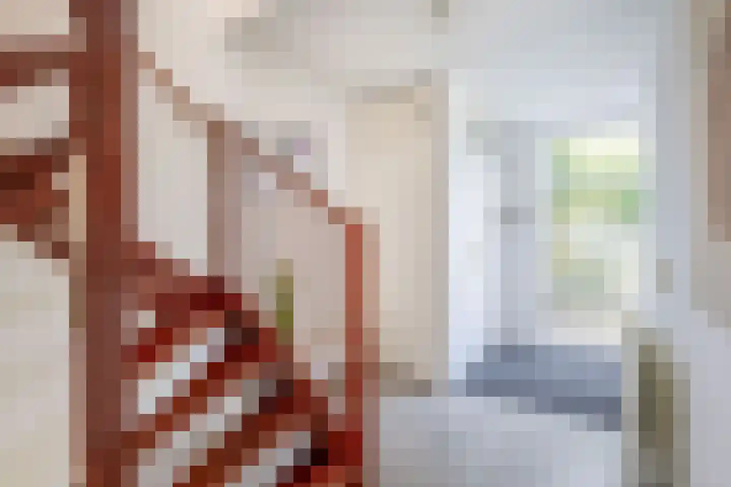 Boterzwin 1131 Julianadorp thumbnail 5