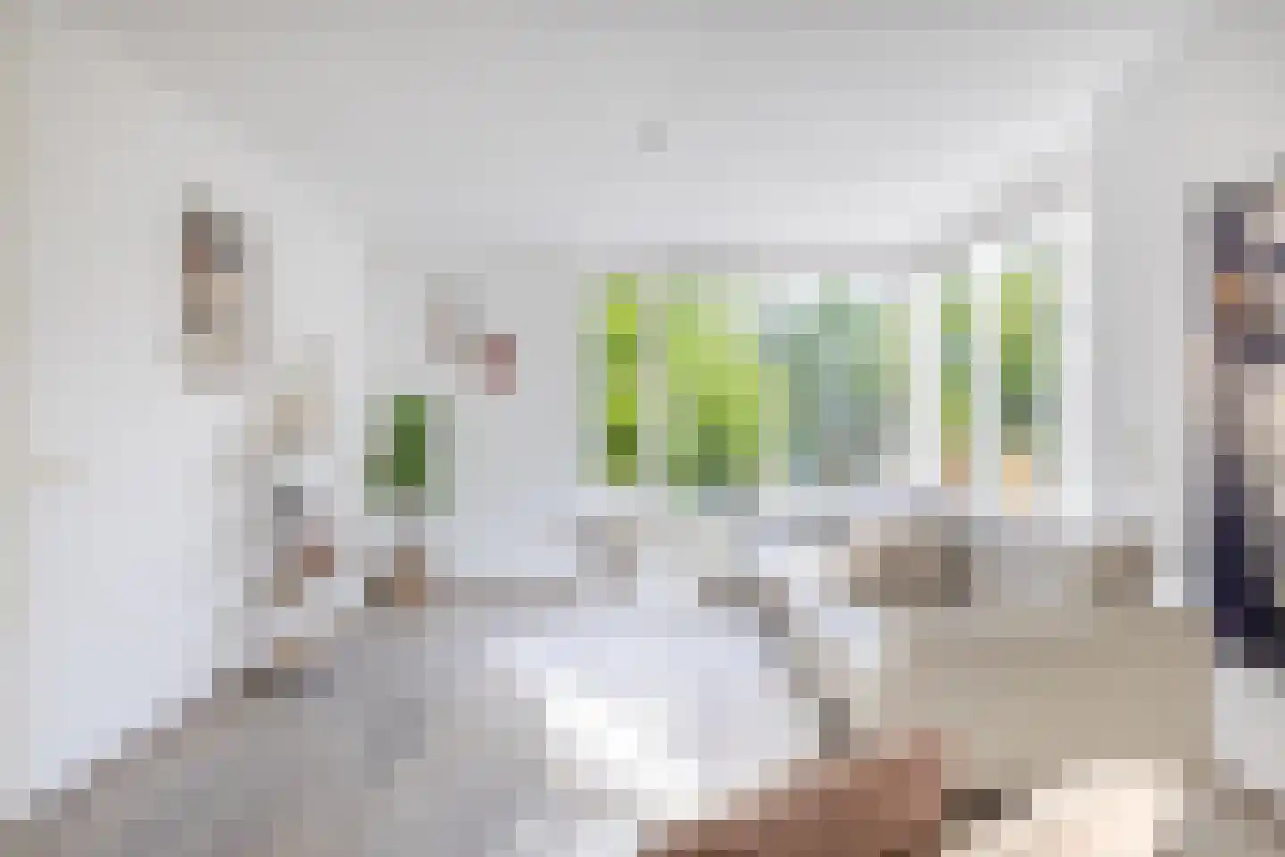 Boterzwin 1131 Julianadorp thumbnail 6
